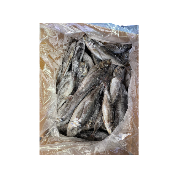 Mackerel Fish In Malayalam